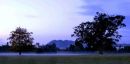 Misty Morning